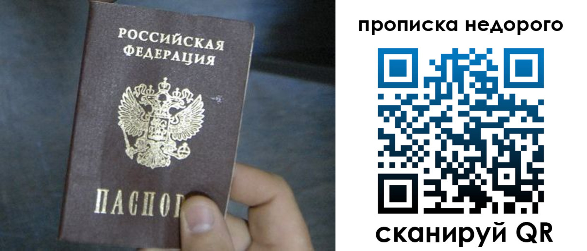 прописка ребенка в Апатитах